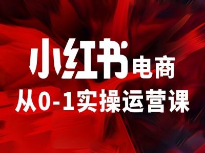 小红书电商从0-1实操运营课，让你从小白到精英-海旭网创