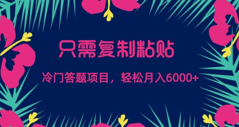只需复制粘贴，冷门答题项目，轻松月入6000-海旭网创