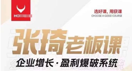 【组合课】张琦张琦老板企业增长·盈利爆破系统（直播专享）-海旭网创