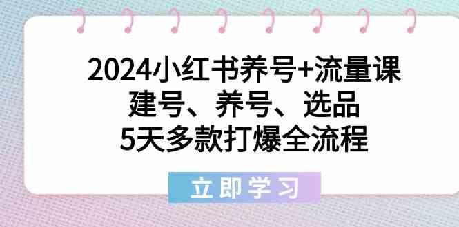 2024小红书养号+流量课：建号、养号、选品，5天多款打爆全流程-海旭网创