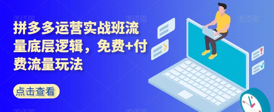 拼多多运营实战班流量底层逻辑，免费+付费流量玩法-海旭网创
