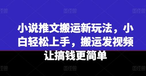 小说推文搬运新玩法，小白轻松上手，搬运发视频让搞钱更简单-海旭网创