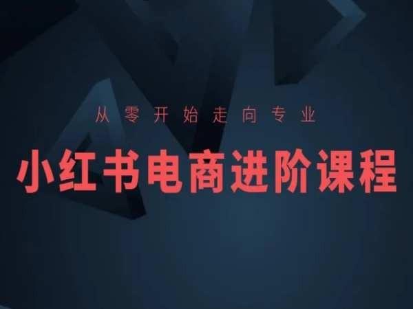 从零开始走向专业，小红书电商进阶课程-海旭网创