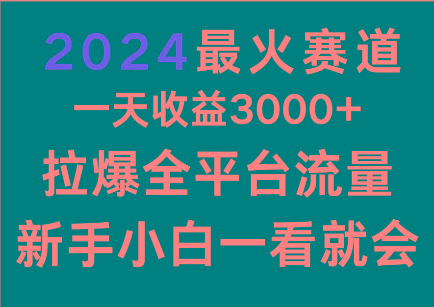 2024最火赛道，一天收一3000+.拉爆全平台流量，新手小白一看就会-海旭网创