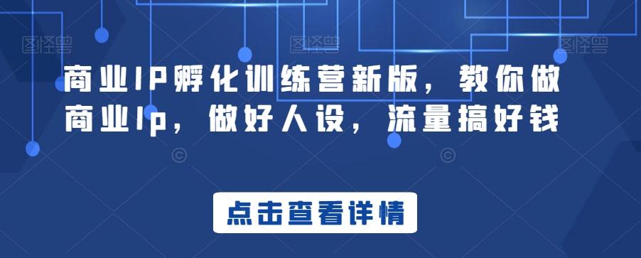 商业IP孵化训练营新版，教你做商业Ip，做好人设，流量搞好钱-海旭网创