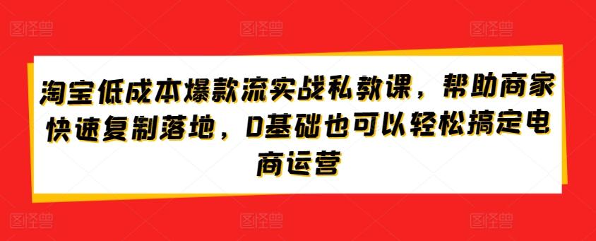 淘宝低成本爆款流实战私教课，帮助商家快速复制落地，0基础也可以轻松搞定电商运营-海旭网创