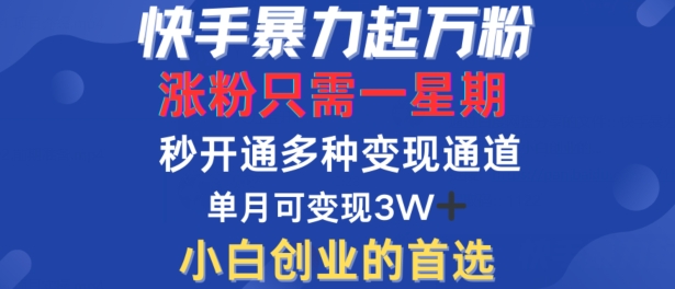 快手暴力起万粉，涨粉只需一星期，多种变现模式，直接秒开万合，单月变现过W【揭秘】-海旭网创