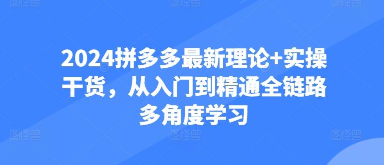 2024拼多多最新理论+实操干货，从入门到精通全链路多角度学习-海旭网创