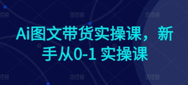 Ai图文带货实操课，新手从0-1 实操课-海旭网创