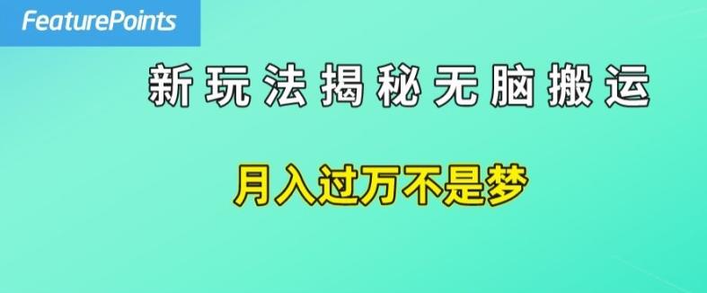 简单操作，每天50美元收入，搬运就是赚钱的秘诀【揭秘】-海旭网创