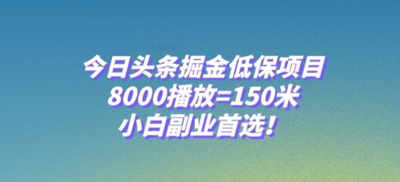 今日头条掘金低保项目，8000播放=150米，小白副业首选【揭秘】-海旭网创