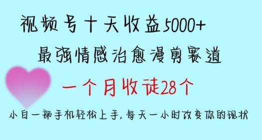 十天收益5000+，多平台捞金，视频号情感治愈漫剪，一个月收徒28个，小白一部手机轻松上手【揭秘】-海旭网创