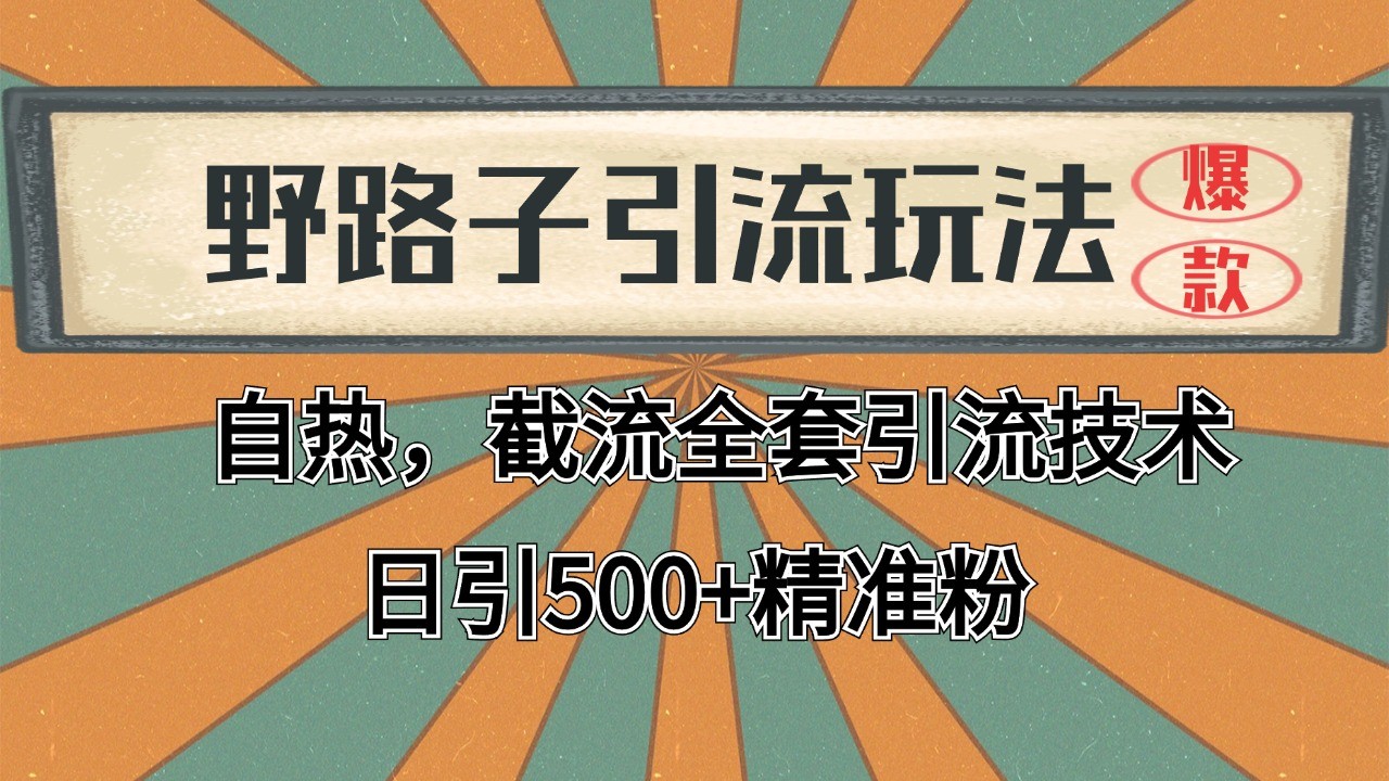 抖音小红书视频号全平台引流打法，全自动引流日引2000+精准客户-海旭网创