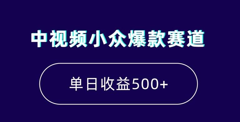 中视频小众爆款赛道，7天涨粉5万+，小白也能无脑操作，轻松月入上万【揭秘】-海旭网创