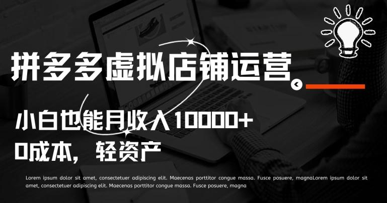 拼多多虚拟店铺运营小白也能月收入10000+【揭秘】-海旭网创