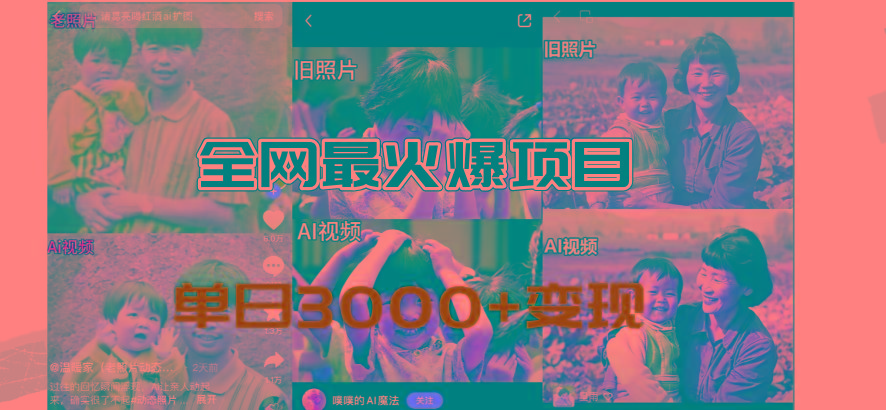 全网爆火的AI让老照片动起来教程，蹭热点日赚3000+，内含免费工具一键…-海旭网创