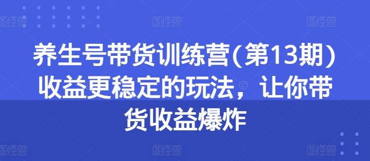 养生号带货训练营(第13期)收益更稳定的玩法，让你带货收益爆炸-海旭网创