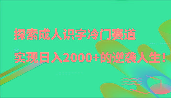 探索成人识字冷门赛道，实现日入2000+的逆袭人生！-海旭网创