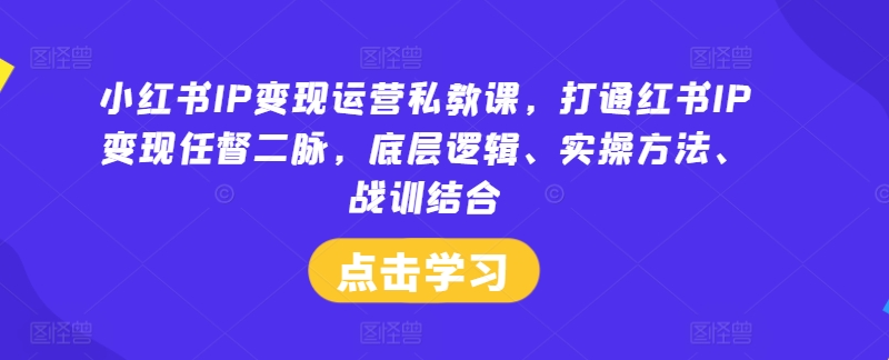 小红书IP变现运营私教课，打通红书IP变现任督二脉，底层逻辑、实操方法、战训结合-海旭网创