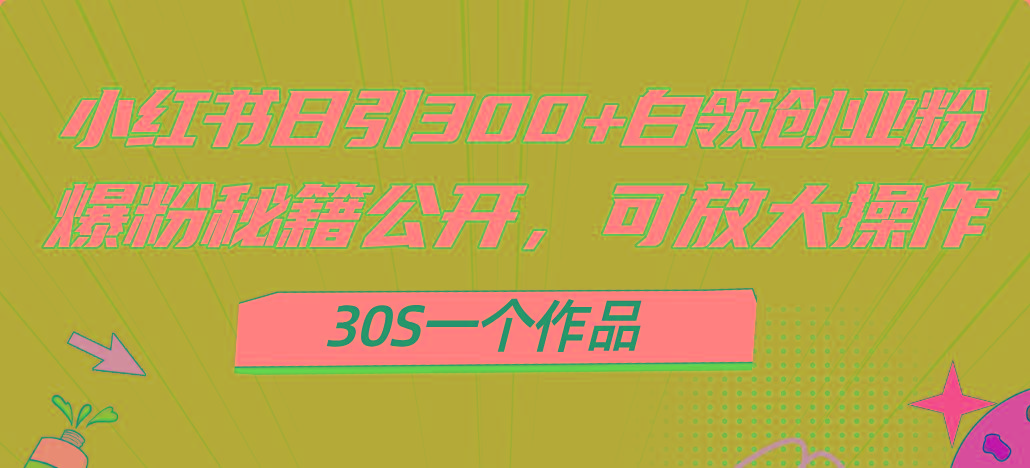 小红书日引300+高质白领创业粉，可放大操作，爆粉秘籍！30s一个作品-海旭网创