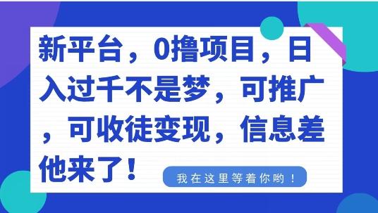 不要再花冤枉钱了，0撸项目，每天坚持，稳定1000+-海旭网创