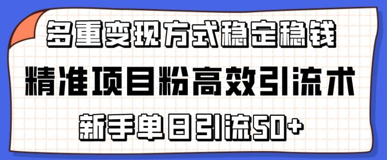 精准项目粉高效引流术，新手单日引流50+，多重变现方式稳定赚钱【揭秘】-海旭网创