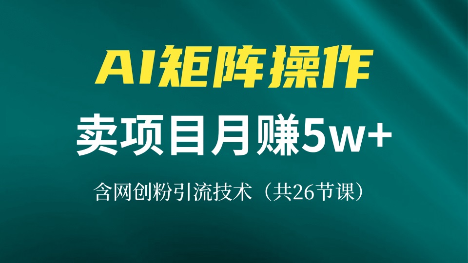 网创IP打造课，借助AI卖项目月赚5万+，含引流技术(共26节课-海旭网创