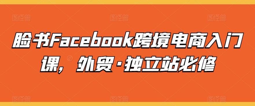 脸书Facebook跨境电商入门课，外贸·独立站必修-海旭网创