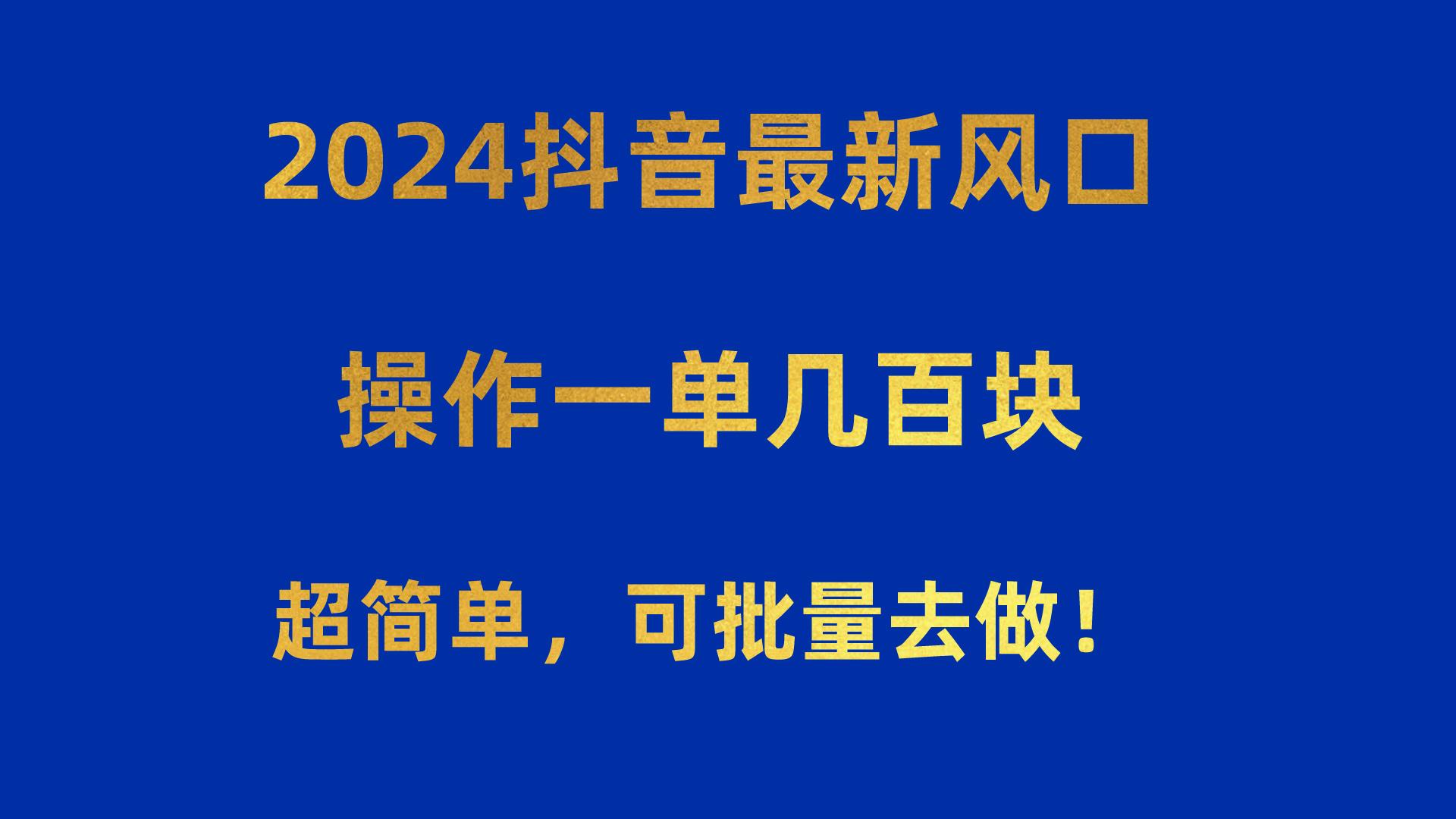 2024抖音最新风口！操作一单几百块！超简单，可批量去做！！！-海旭网创