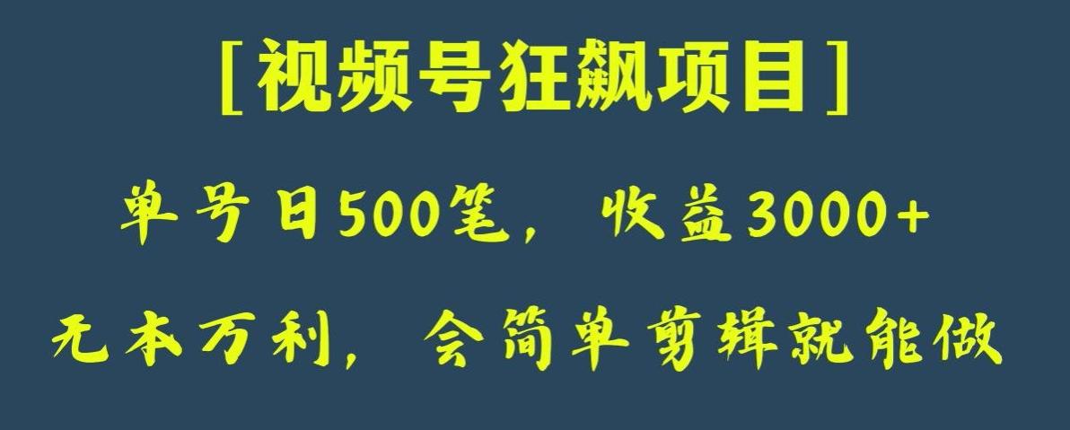 日收款500笔，纯利润3000+，视频号狂飙项目，会简单剪辑就能做【揭秘】-海旭网创