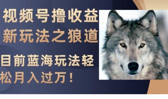 视频号撸收益新玩法之狼道，目前蓝海玩法，轻松月入过万【揭秘】-海旭网创