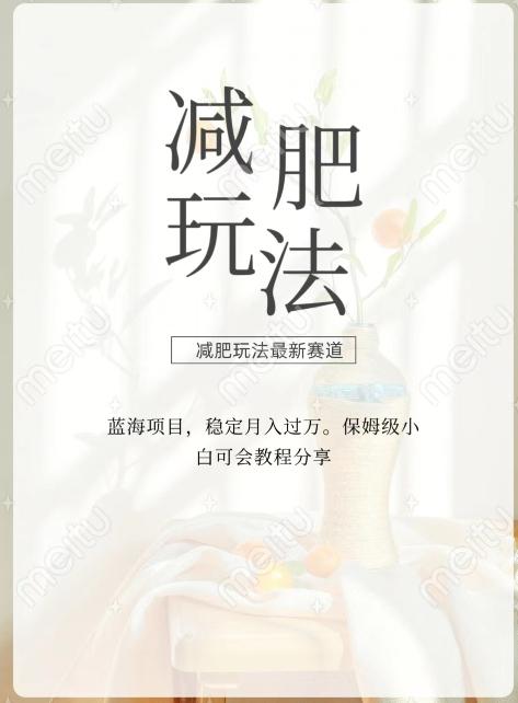 减肥流量主新玩法，轻松月入1W，可矩阵操作收入翻倍-海旭网创