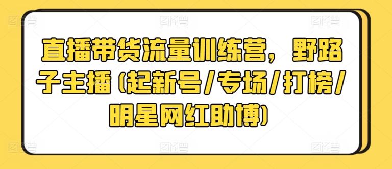 直播带货流量训练营，野路子主播(起新号/专场/打榜/明星网红助博)-海旭网创