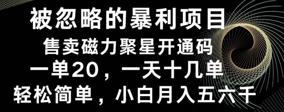 被忽略的暴利项目！售卖磁力聚星开通码，一单20，一天十几单，轻松月入五六千-海旭网创