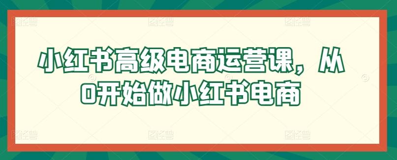 小红书高级电商运营课，从0开始做小红书电商-海旭网创