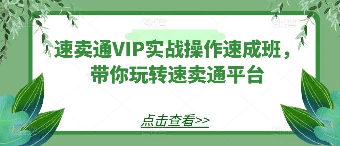 速卖通VIP实战操作速成班，带你玩转速卖通平台-海旭网创