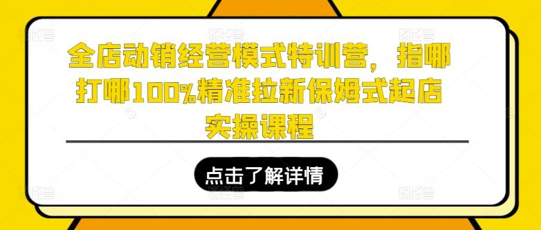 全店动销经营模式特训营，指哪打哪100%精准拉新保姆式起店实操课程-海旭网创
