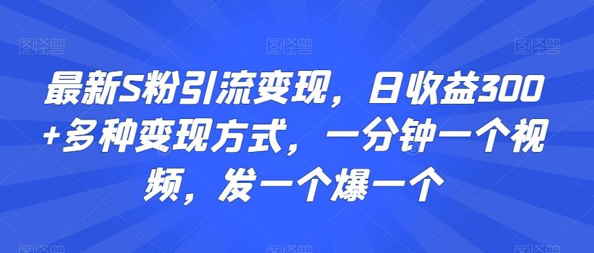 最新S粉引流变现，日收益300+多种变现方式，一分钟一个视频，发一个爆一个【揭秘】-海旭网创
