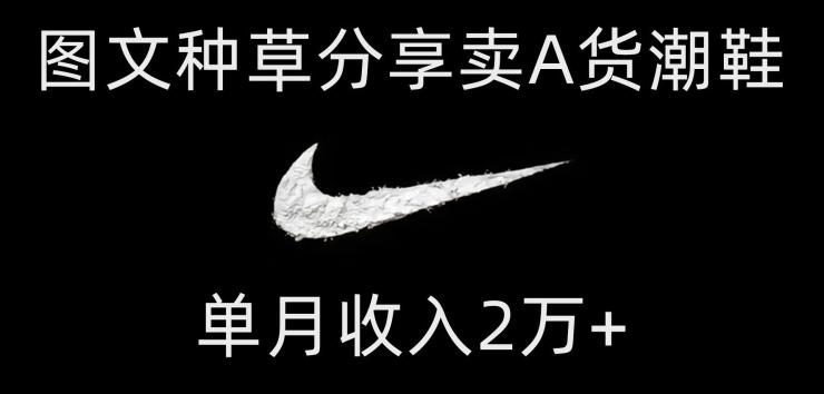 靠图文种草分享卖A货潮鞋，每天一小时，单月收入2万+【揭秘】-海旭网创