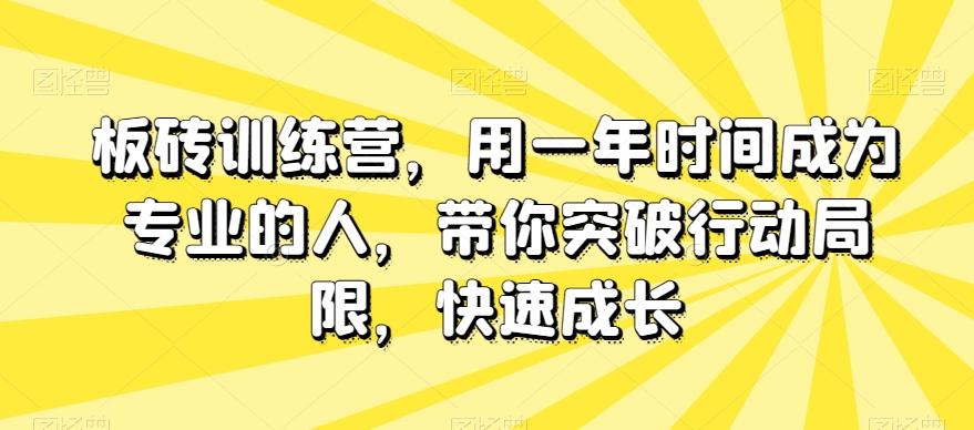 板砖训练营，用一年时间成为专业的人，带你突破行动局限，快速成长-海旭网创