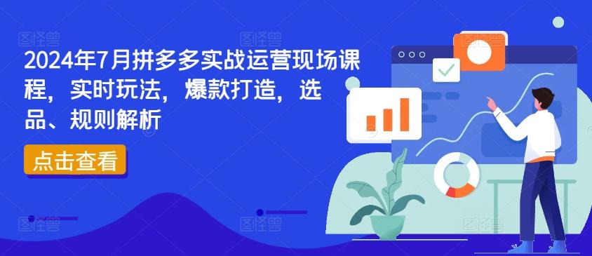 2024年7月拼多多实战运营现场课程，实时玩法，爆款打造，选品、规则解析-海旭网创