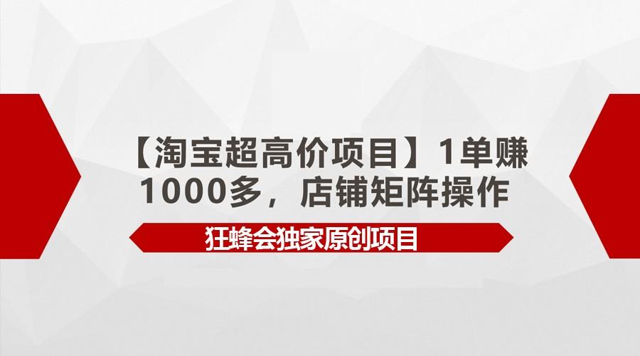 【淘宝超高价项目】1单赚1000多，店铺矩阵操作-海旭网创