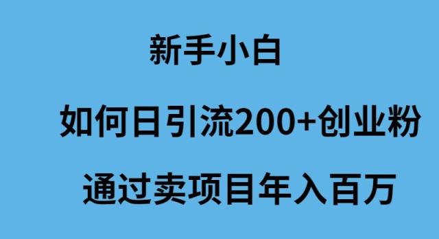 (9668期)新手小白如何日引流200+创业粉通过卖项目年入百万-海旭网创