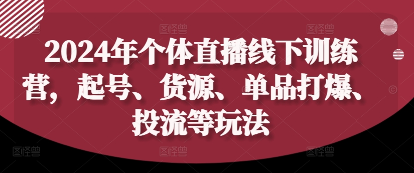 2024年个体直播训练营，起号、货源、单品打爆、投流等玩法-海旭网创