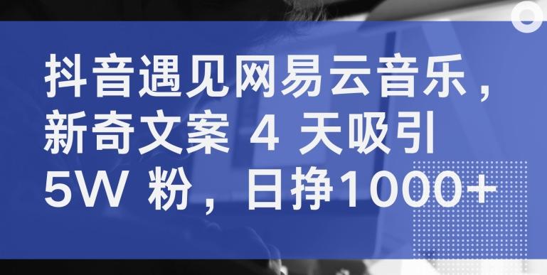 抖音遇见网易云音乐，新奇文案 4 天吸引 5W 粉，日挣1000+【揭秘】-海旭网创
