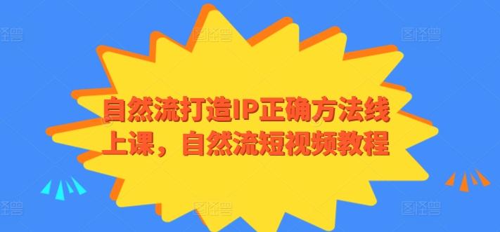 自然流打造IP正确方法线上课，自然流短视频教程-海旭网创