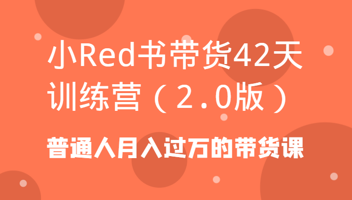 小Red书带货42天训练营(2.0版)普通人月入过万的带货课-海旭网创