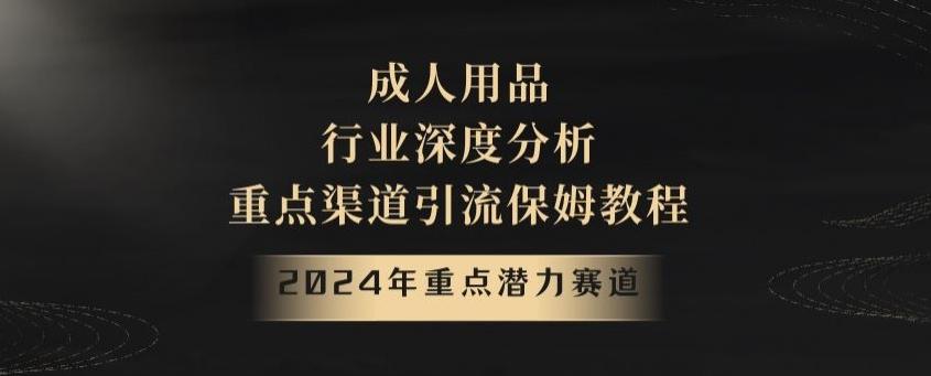 2024年重点潜力赛道，成人用品行业深度分析，重点渠道引流保姆教程【揭秘】-海旭网创