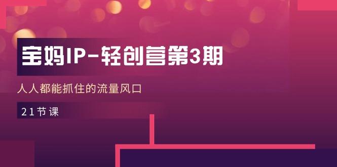 宝妈IP-轻创营第3期，人人都能抓住的流量风口(21节课-海旭网创