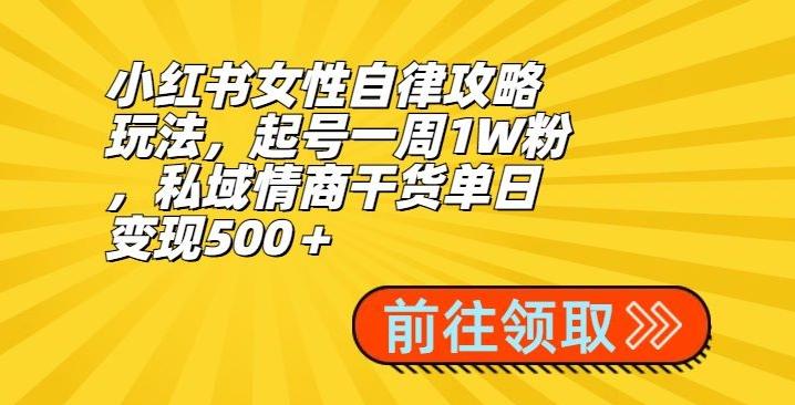 小红书女性自律攻略玩法，起号一周1W粉，私域情商干货单日变现500＋-海旭网创